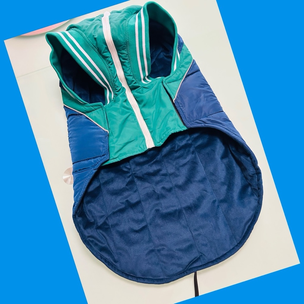 IREENUO Blue Dog Raincoat/Coat with Green/White Striped Collar